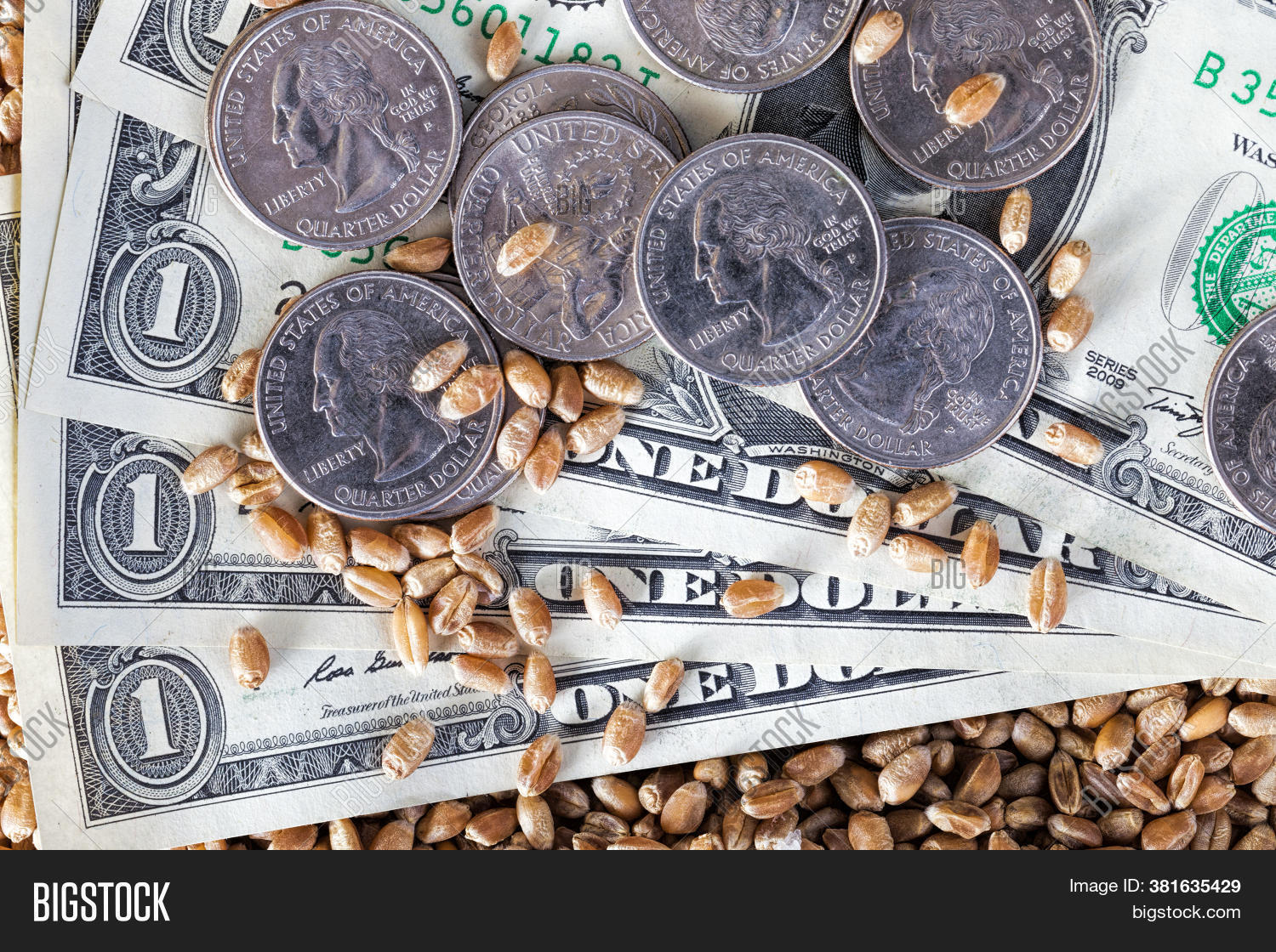 One Us Dollar Paper Image Photo Free Trial Bigstock