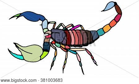 This Is A Rainbow Scorpion, Scorpion With A Rainbow Skin