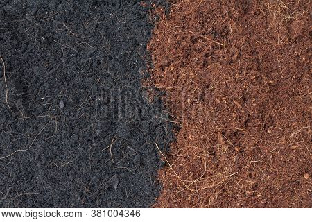 Texture Of Half Soil And Coconut Dust Is Natural Fertilizer For Growing Plants.