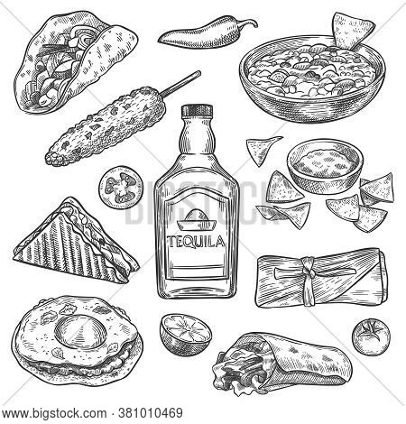 Mexican Food. Sketch Mexican National Drink Tequila And Traditional Food Nachos, Enchilada And Burri