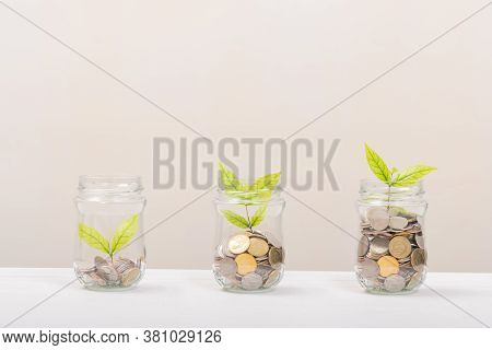 Three Leaf Tree Grow In Glass Bottle With Money Coin. Business Concept Or Money Growth Concept.
