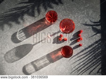 Smash Gin Alcoholic Cocktail. Long Raspberry Drink On  Gray Stone Background, Copy Space. Sunlight T