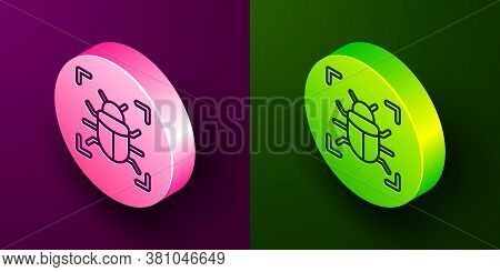 Isometric Line System Bug Concept Icon Isolated On Purple And Green Background. Code Bug Concept. Bu
