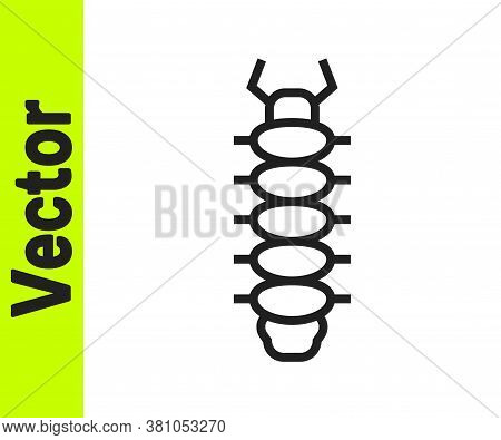 Black Line Centipede Insect Icon Isolated On White Background. Vector