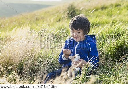 Happy Kid Playing With Straw Grass Sittng On Meadow In The Hill, Child Boy Sitting On Grass At The F