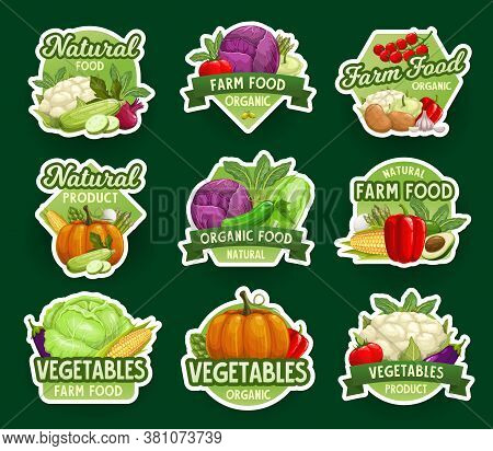 Farm Natural Vegetable Icons And Stickers, Vector Farm Food Veggies Market. Vegetables And Green Org