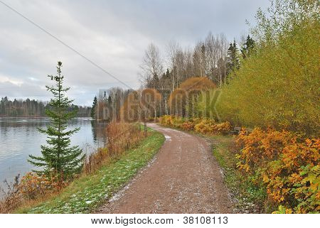 Late Autumn In Finland