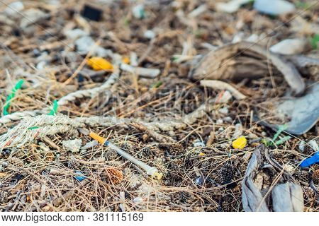 Spilled Rubbish On The Ground In The Forest Park. Ropes And Plastic Medical Syringe. Environmental P