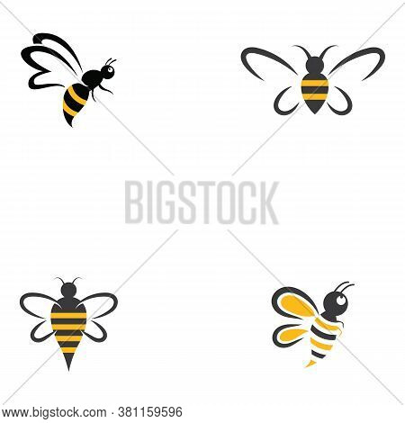 Bee Logo Template Vector Icon Illustration Design