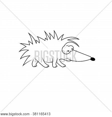 Hedgehog. Character Is White With Big Eyes. Vector. Cartoon Style