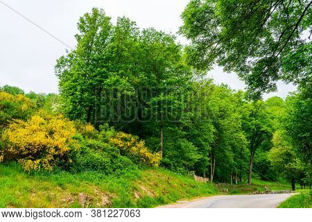 French landscape Haute Vienne Limousin,France
