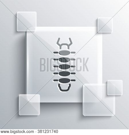 Grey Centipede Insect Icon Isolated On Grey Background. Square Glass Panels. Vector