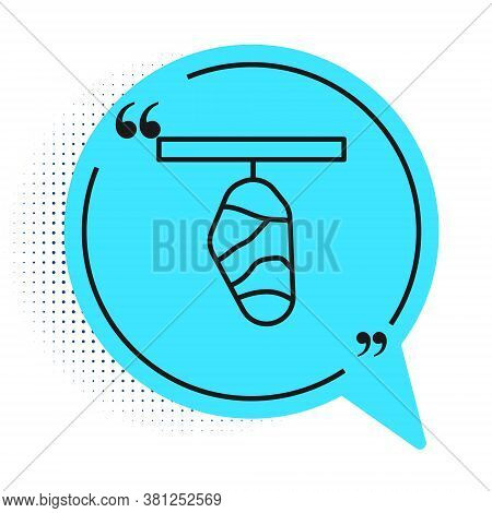 Black Line Butterfly Cocoon Icon Isolated On White Background. Pupa Of The Butterfly. Blue Speech Bu