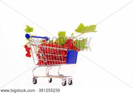 Cart With Berries On A White Background Red Currant . Summer Berry. Red Berries Are A Whole Cartload