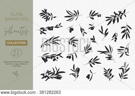 A Set Of Silhouettes Of Olive Branches Isolated On A Light Background In A Simple Style. Vector Illu