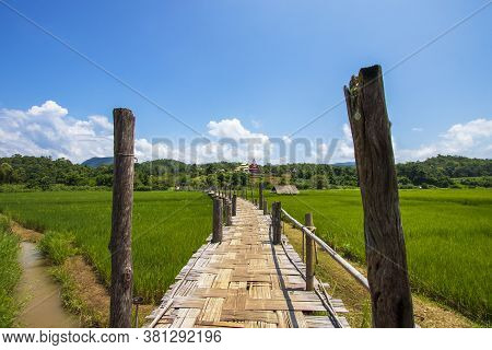 Sutongpe Wooden Bridge That Crosses Rice Fields To Temples In Mae Hong Son Province In Thailand.