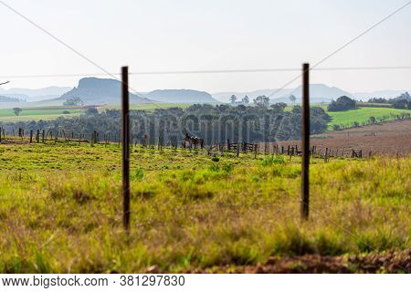 Rural Landscape Of The South American Pampas On The Borders Of Brazil, Uruguay And Argentina. Visual