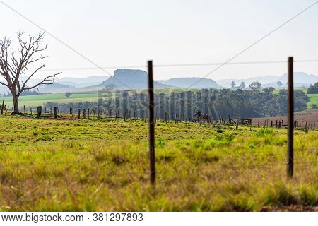 Rural Landscape Of The South American Pampas On The Borders Of Brazil, Uruguay And Argentina. Visual