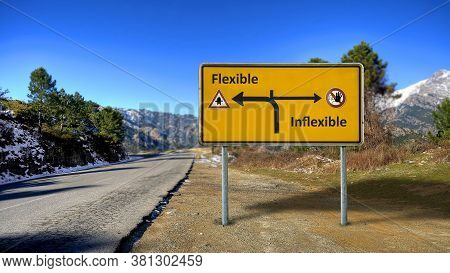Street Sign The Direction Way To Flexible Versus Inflexible
