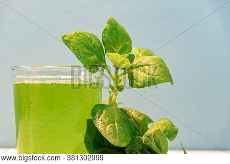 Spinach Detox Juice ((spinacia Oleracea) On Blue Background