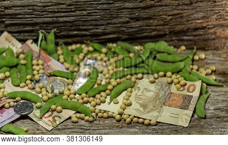 Soy Beans. A Metal Shell Full Of Cereal. Organic Fundo Composed Of Dried Soy Plants And Pods Scatter