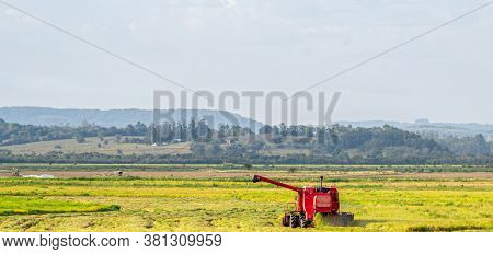Self-propelled Machine And Rice Harvest In Brazil