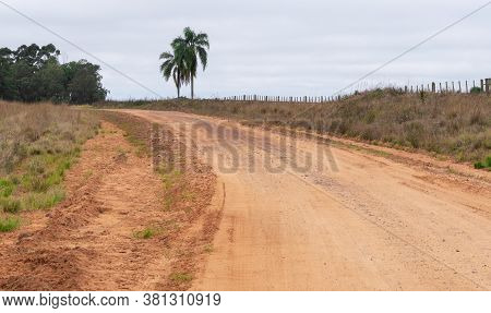 Rural Landscapes In The Campaign Region Of The State Of Rio Grande Do Sul