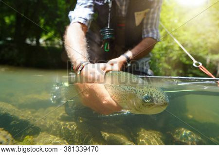 fly fisherman in summer catching a rainbow trout fishing in a mountain river