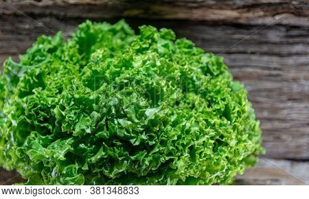 Lettuce (lactuca Sativa) In Glass Bowl And Woody Background