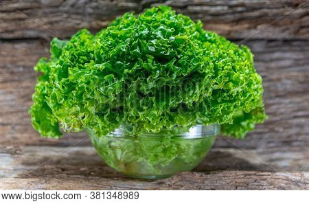 Lettuce (lactuca Sativa) In Glass Bowl And Woody Background