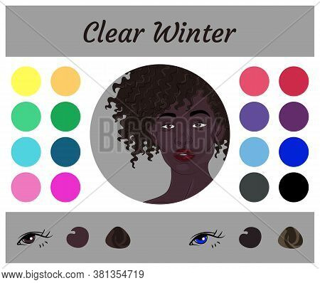 Stock Vector Seasonal Color Analysis Palette For Clear Winter. Best Colors For Clear Winter Type Of 