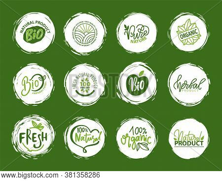 Fresh Vegan Food Label, Green Poster Natural And Herbal Product, 100 Percent Organic, Healthy Produc