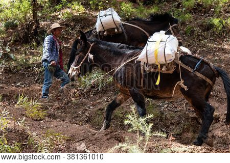February 2019. Mules At The Foot Of The Baoxiang Temple Is Also Called The Shibao Temple, Which Is L