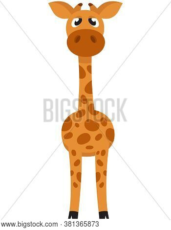 Standing Baby Giraffe Front View. African Animal In Cartoon Style.