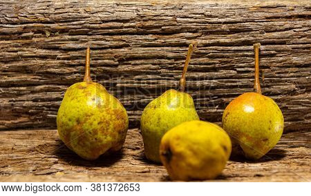 Freshly Picked Pear Fruits (pyrus Communis L) On Wooden Background
