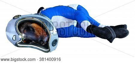 3D Rendering Astronaut Dog On White