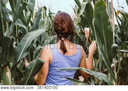 Beautiful Woman In Nature. Happy People Lifestyle.woman Walking In Corn Field. Nature Lifestyle. Hap