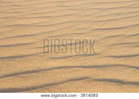 Sand der Wüste der sahara