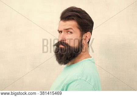 Masculinity Concept. Man Bearded Hipster Stylish Beard Grey Background. Stylish Beard And Mustache C