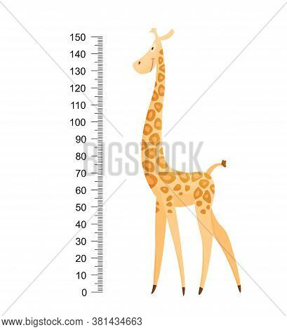 Funny Giraffe. Cheerful Funny Giraffe With Long Neck. Giraffe Meter Wall Or Height Chart Or Wall Sti