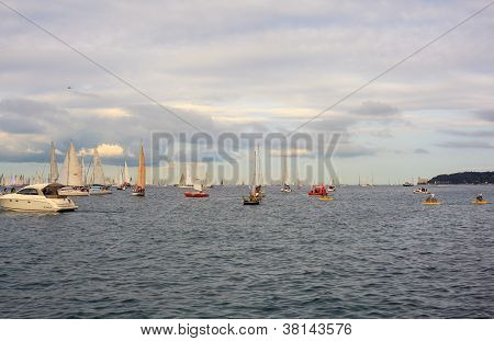 Barcolana regata, Trieste