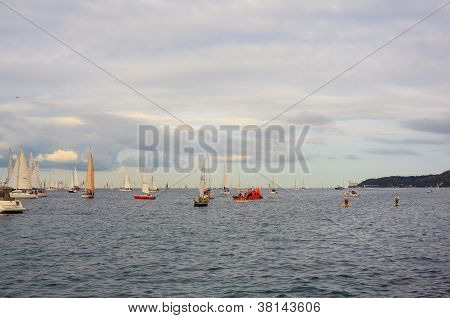 Barcolana regata, Trieste