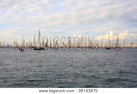 Barcolana regata, Trieste