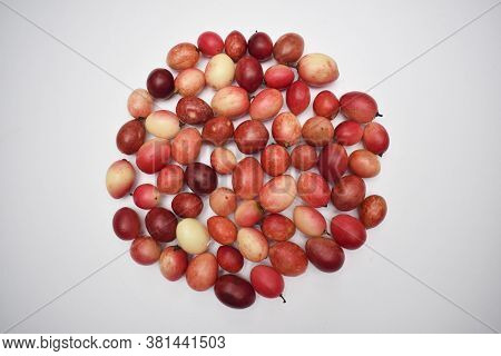 Indian Fruit Karaunda Known As Carissa Caranda Fruits Arranged In Circular Shape On White Background