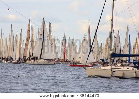 Barcolana regata, Trieste