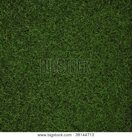 Hierba verde