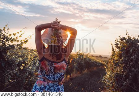 Beautiful Woman In Vineyard In Nature. Happy People Lifestyle. Woman Holding Wild Flower In Vineyard
