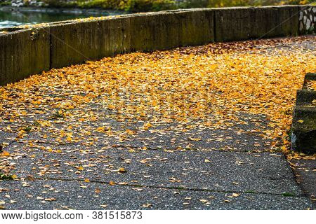 Beautiful Autumn Path On A Sunny Day. Autumn Season With Fallen Leaves In Autumn Colorful Park Alley