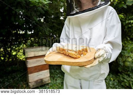 Female Beekeper In Protective Clothing Outside Honey Bee Hive Holding Honeycomb