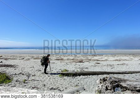 A Female Hiker Exploring The Sandy Beaches Of Nels Bight And Experimental Bight, Surrounded By Fores